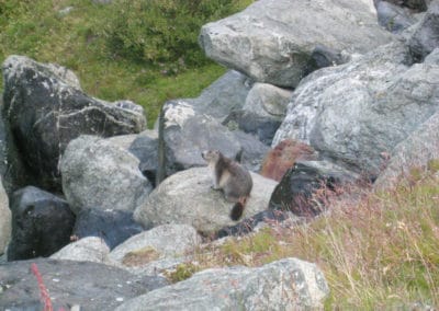 Cabane de Moiry